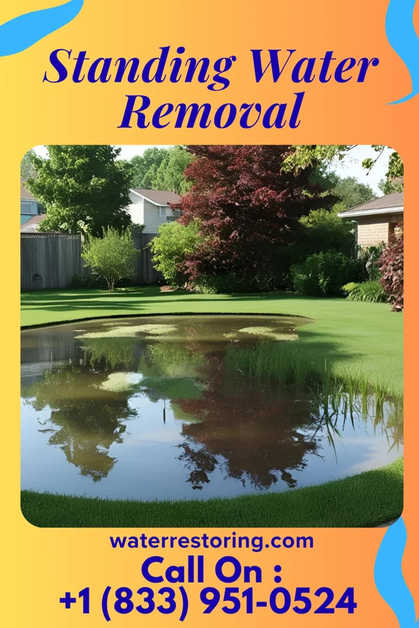 Standing Water Removal in Oceanside, CA